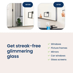 Glass Cleaner