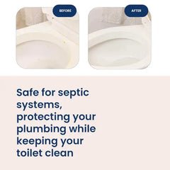 Toilet Bowl Cleaner