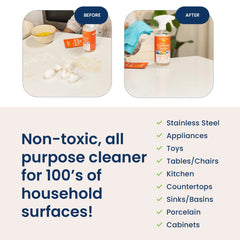 Everyday Cleaner